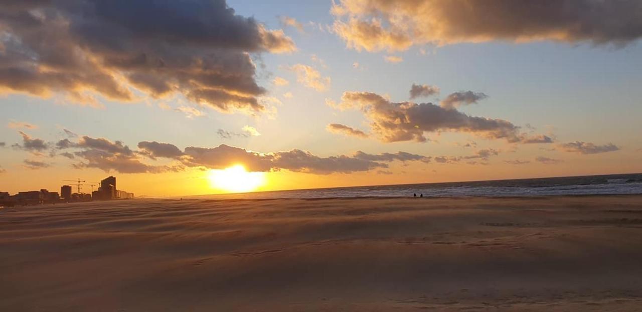 Hill4 Daire Oostende Dış mekan fotoğraf